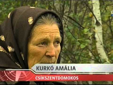 Pásztorbükkön gyilkolták meg 1599-ben Erdély fejedelmét Báthori Endrét