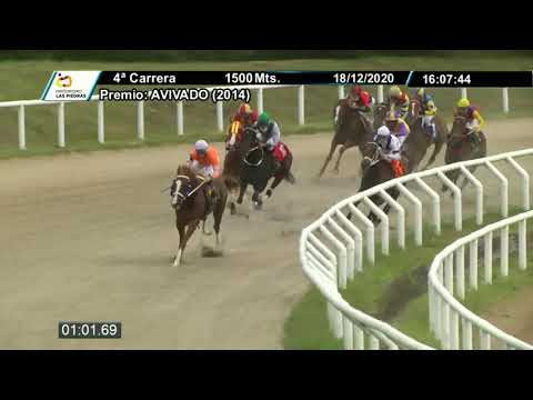 201218 c04 - LADY LIL - HIPODROMO LAS PIEDRAS
