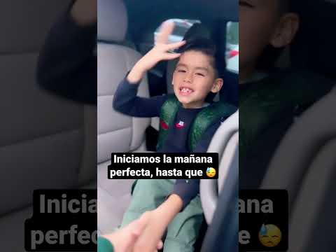 Requisitos Previos para la Consulta de Videos