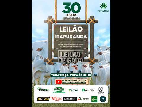Leilão do Sindicato Rural de Itapuranga -30/06/2026 | Leilão ao Vivo - Leilão de Gado