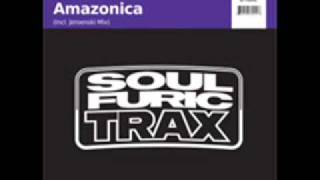 Raul Moros - Amazonica (DJ Jeronski Remix)