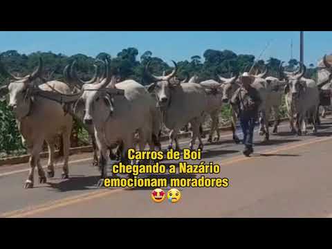 Carros de Boi chegando a Nazário