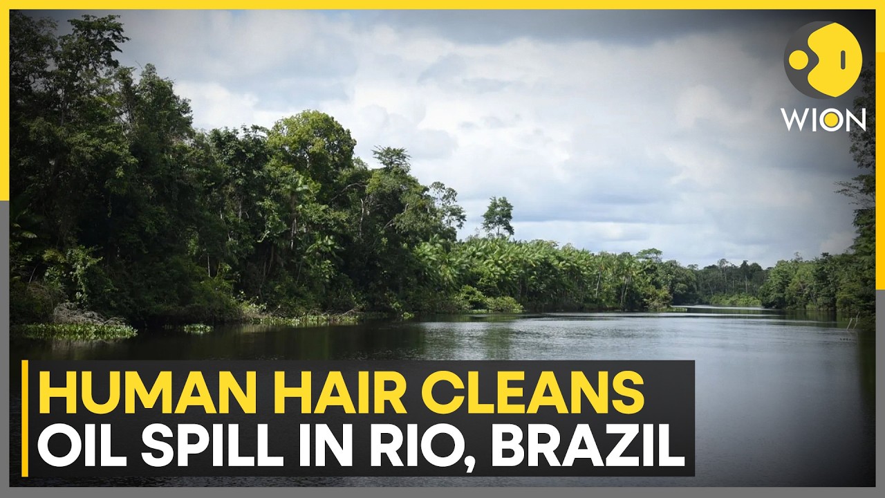 Human Hair Being Used To Clean Rio's Guanabara Bay In Brazil | WION News