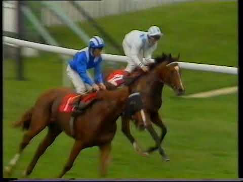 1988 Futurity Stakes Al Hareb + Replay