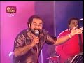 Sunflower Salade 2006 නීල් වර්ණකුලසූරිය ප්‍රමුඛ සන