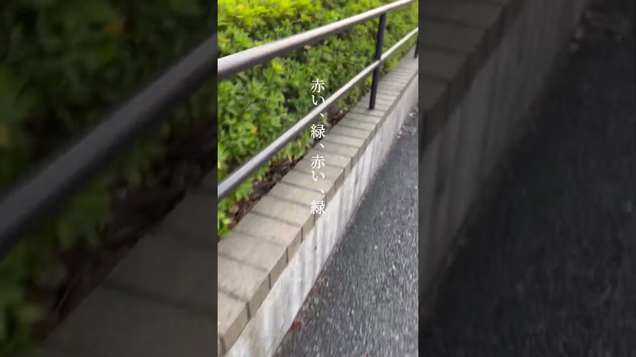 散歩してきたよー #ユダ #OSHIKIKEIGO