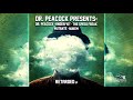 The SpeedFreak & Dr. Peacock - Retarded