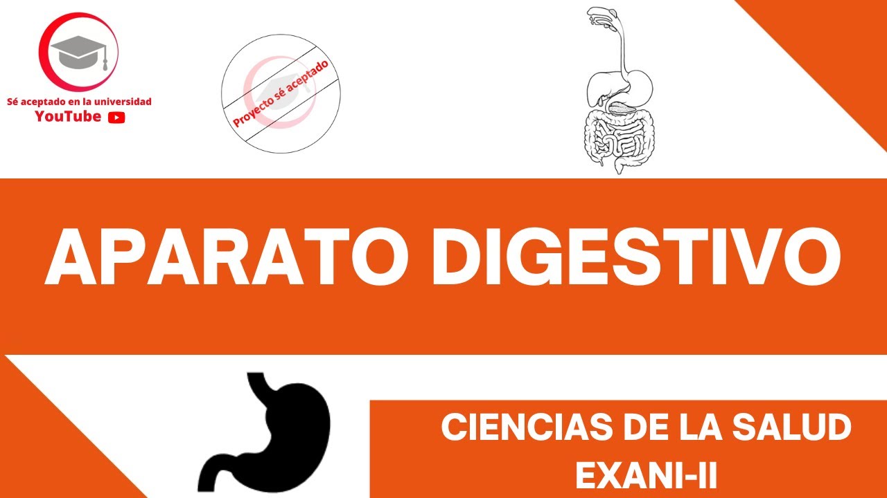 APARATO DIGESTIVO (ESTRUCTURA Y FUNCIONES BÁSICAS) | CIENCIAS DE LA SALUD | EXANI-II 2024