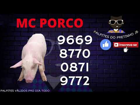 PALPITES JOGO DO BICHO 07/FEV/2023