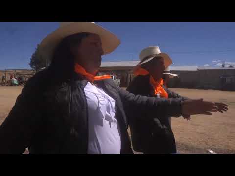 Desfile general por Pararani Pullo Parinacochas Ayacucho 2026
