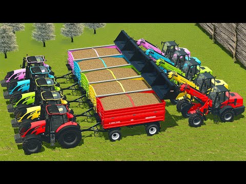 HARVESTING AND TRANSPORTING POTATOES WITH VALTRA TRACTORS - Farming Simulator 25