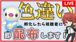 色違いミジュマル孵化したら配布します【ポケモンSV】孵化余り配布しながら