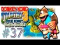 37 Donkey Kong Country 3 Bleak S House