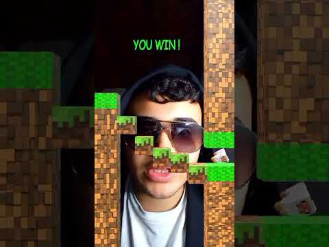 cegado - MINECRAFT FILTER OF THE SHEEP CHALLENGE....