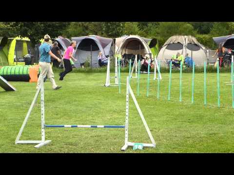 NÖ LM 2013 A-Lauf Betsy