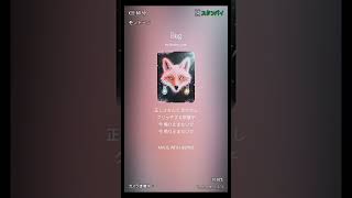 Bug 狼子-rowshi-