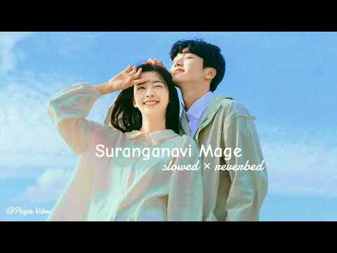Suranganavi Mage | සුරංගනාවී මගේ ( slowed×reverbed ) @Pazie2005