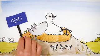 Déconfinement sur le littoral : ATTENTION aux oiseaux !