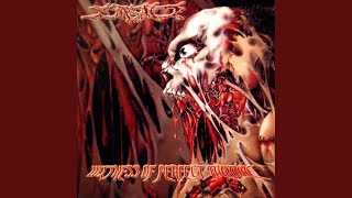 Music video thumbnail preview for The Amelia's Revenge by Turbidity