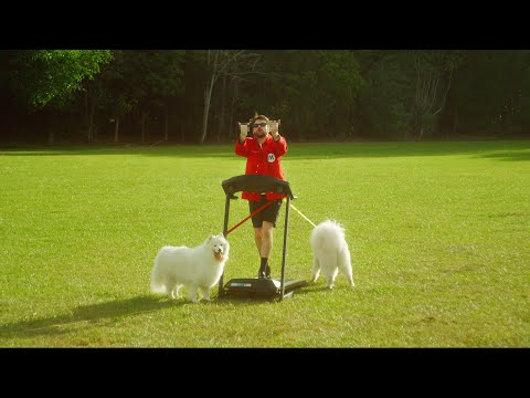 SAFETY CLUB - ICY! (OFFICIAL MUSIC VIDEO)