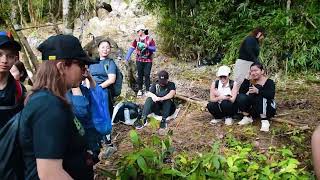 Rescue Sierra Madre | Tree Planting Mission  (December 6, 2025)
