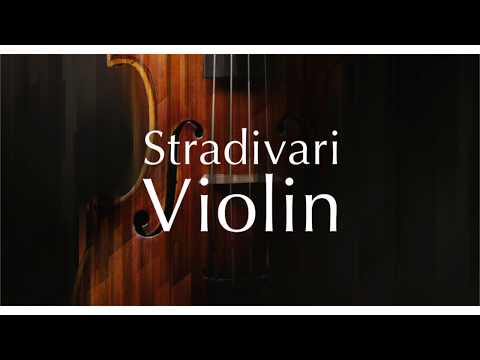 Native Instruments - STRADIVARI VIOLIN