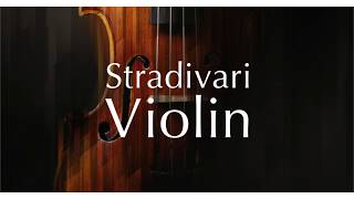 Video thumbnail for Native Instruments - STRADIVARI VIOLIN by The Pro Audio