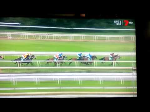 Randwick Race 7 Chipping Norton Stakes 2017 Winx