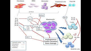 unstable clonal plasma cells; genetic changes making them prone to further mutations