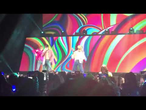 01/27/19 WINNER IN TORONTO IMMATURE