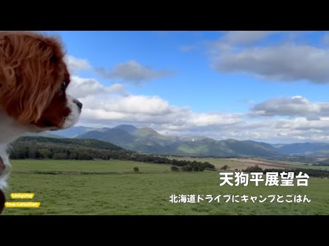 英国のジャングルキャンプはウェールズに滞在、RTLも追随するのか?