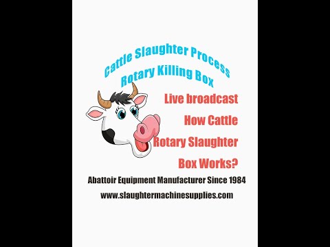, title : 'How cattle halal rotary slaughter box works Modern cow abattoir slaughter line beef production plant'