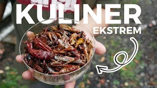 BAHAYA untuk Pengidap Alergi Protein Tinggi! Kuliner Ekstrem Belalang Goreng Khas Gunungkidul