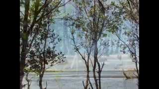 Being One with Nature is Being One with God.