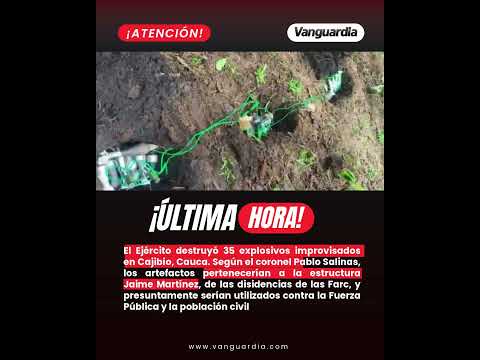Ejército destruyó 35 explosivos improvisados en Cajibío, Cauca: serían de las disidencias