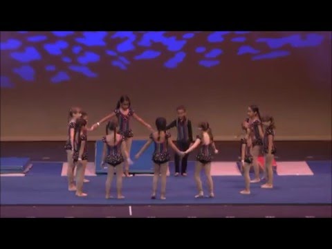 Leggz Dance Academy Recital 2015- "Finding That Special Someone" Tumbling 1