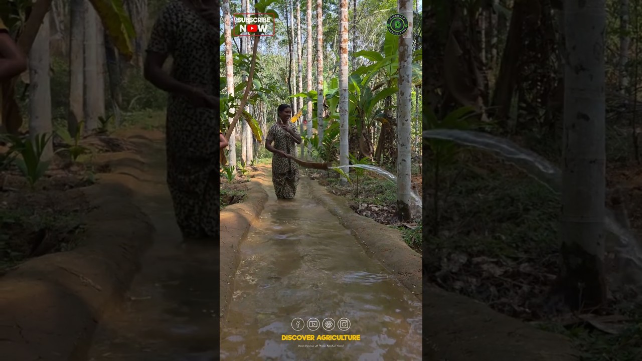 Traditional Irrigation System