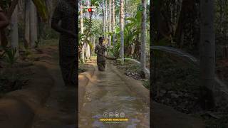 Traditional Irrigation System