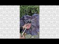 Видеообзор Женский зонт Fulton L354 Minilite-2 Cascading Spots (Каскадные пятна)