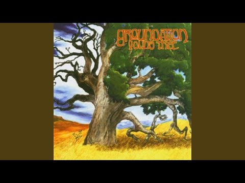 Confusing Situation - Groundation