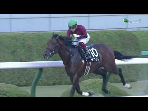 2020 Doncaster Cup - Isshin (上下齊心) - Y.Fukunaga
