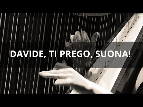 Davide, ti prego, Suona! | 11 Gennaio 2025 | Davide Rizzo