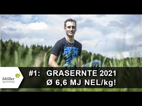 Tipps vom Grünlandprofi - DIESE Top-Qualität habe ich sogar in Grasernte 2021 geschafft! #1