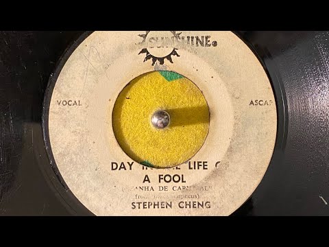 Stephen Cheng ‎– Day in the life a fool