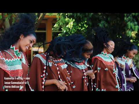 Ibroo Ibsaa  Xinniqaa New video music coming soon subscribe IBROO IBSAA OFFICIAL TUBE