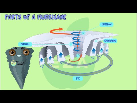Hurricanes || Educational Videos || #hurricane #learnabouthurricanes