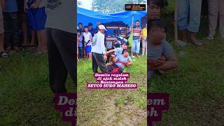 Download lagu PAMIT MOLEH, TAPI DEMITE SIK PINGIN MELOK mp3