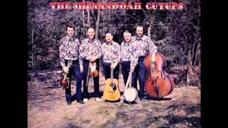 A Tribute To The Louvin Brothers [1975] - The Shenandoah Cutups
