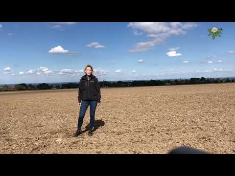 Feldexkursion 225: Weizensortentypen - N.U. Agrar GmbH, 22.09.22