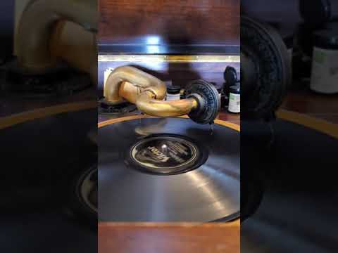 Speech  - (Vocal Billy Murray) International Novelty Orchestra  Victor Records #19781